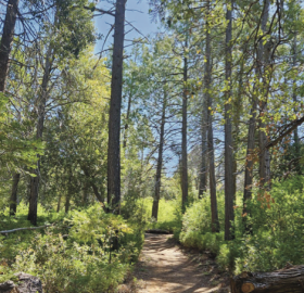 William Heise County Park