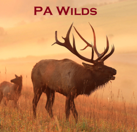 PA Wilds Elk Center