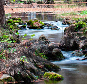 Guadalupe River