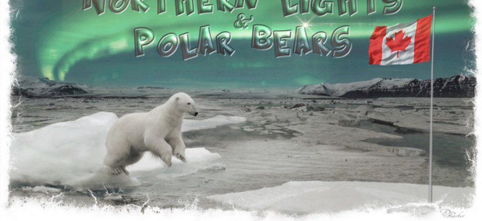 Northern Lights & Polar Bears