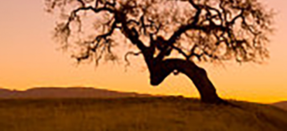 SeCU Bent Oak Farm Rallyu