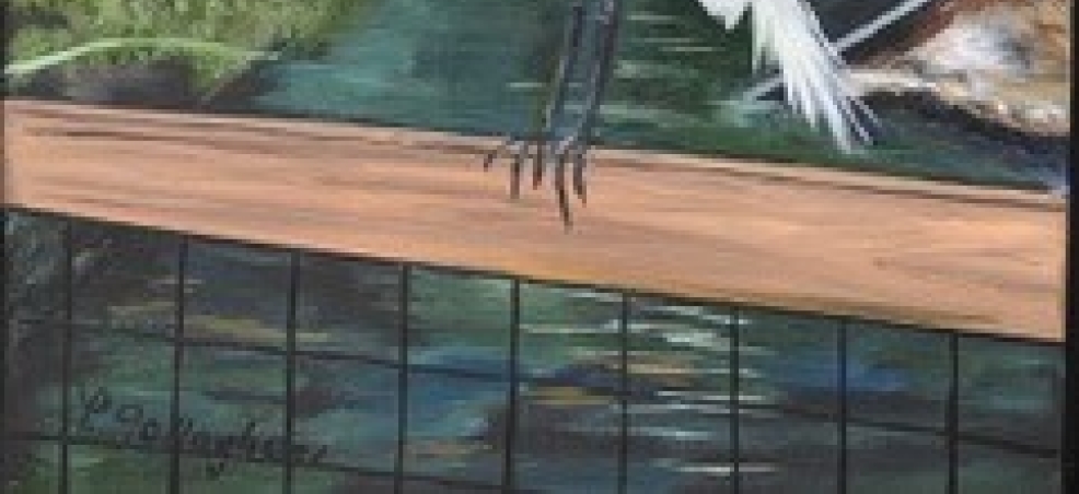 Southeast Coastal Crawl