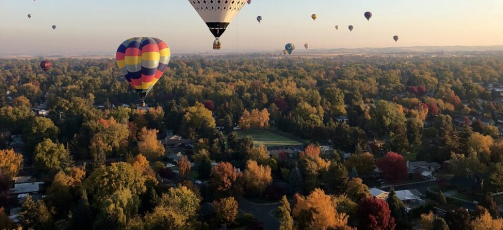 Hot air balloons