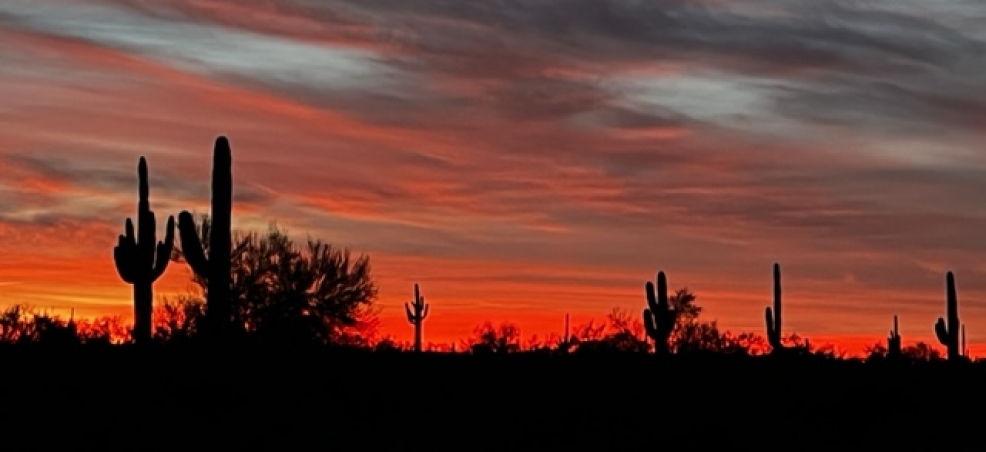 New Years At Picacho