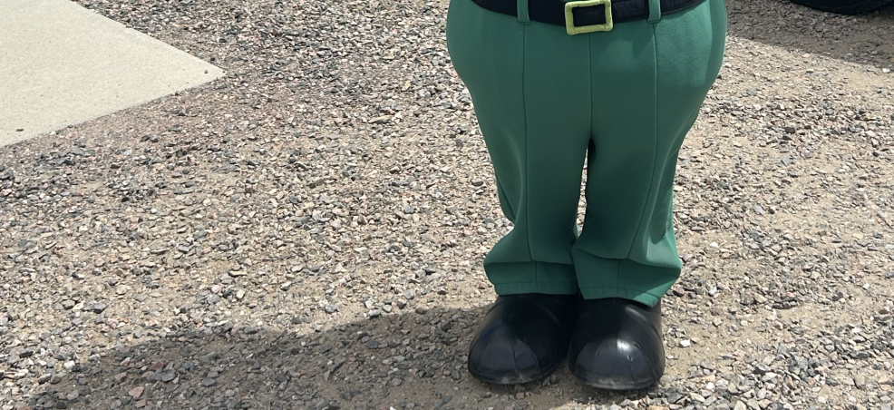 CAC Teaser Jellystone 