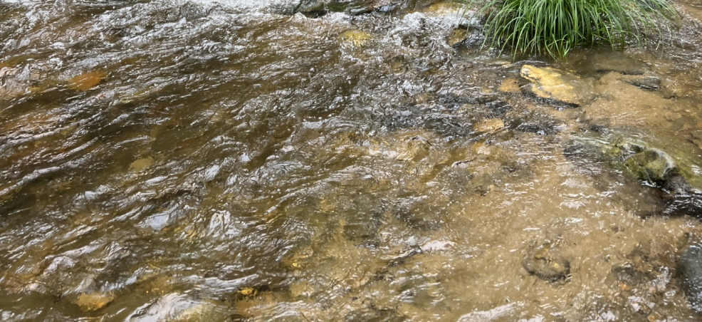 Wading creek