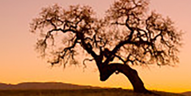 SeCU Bent Oak Farm Rallyu