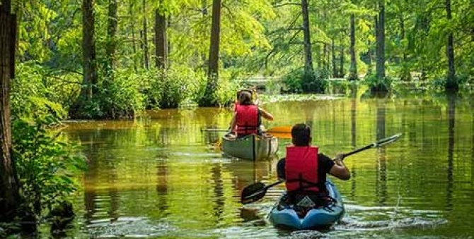Trapp Pond