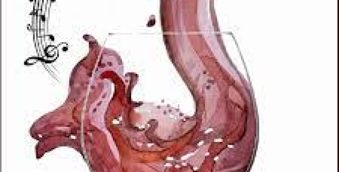 Wine and jazz