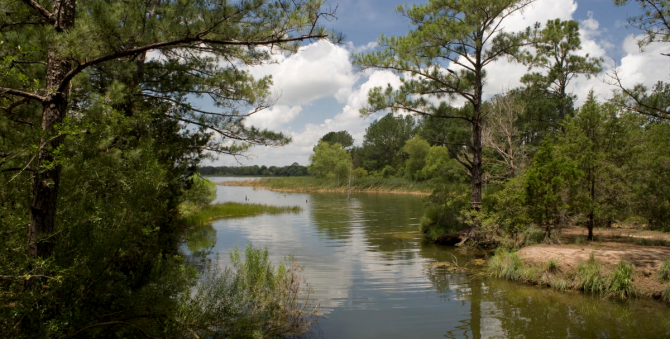2025-03_Bastrop_State_Park