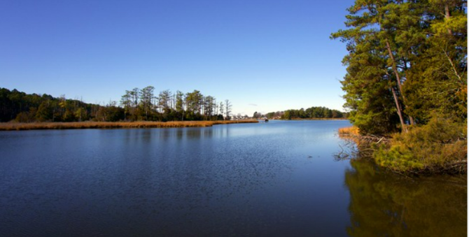 Belle Isle Mud Creek