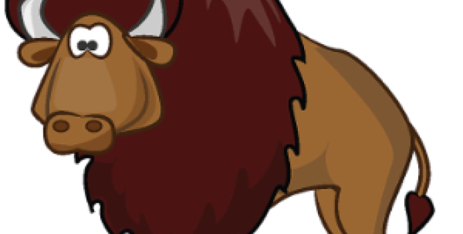 bison