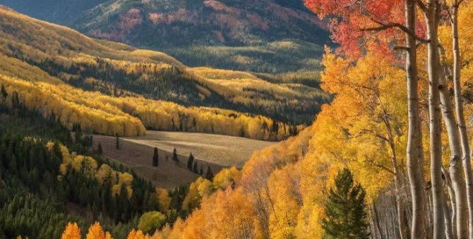 CAC Ouray