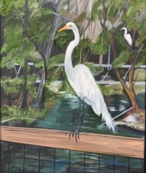 Southeast Coastal Crawl