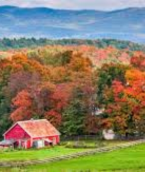 is vermont teaser