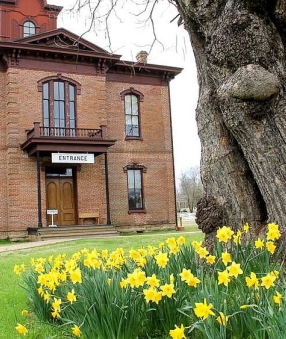 AR AS - Jonquil Festival