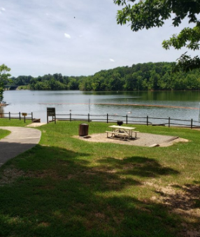 Rudds creek