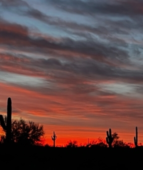 New Years At Picacho