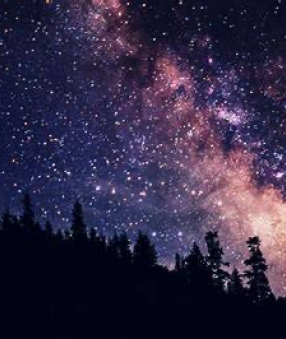 LVAC Dark Sky