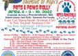 rally flyer
