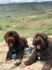 Profile picture for user renee.maron@boulderenvironmental.com