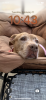 Profile picture for user cathyjohn0404@att.net